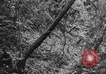 Image of Chinese engineers build Ledo road Burma, 1944, second 31 stock footage video 65675043289