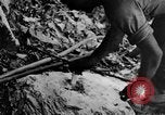 Image of Chinese engineers build Ledo road Burma, 1944, second 40 stock footage video 65675043289