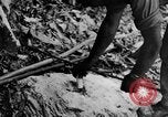 Image of Chinese engineers build Ledo road Burma, 1944, second 42 stock footage video 65675043289