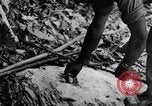 Image of Chinese engineers build Ledo road Burma, 1944, second 43 stock footage video 65675043289