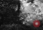 Image of Chinese engineers build Ledo road Burma, 1944, second 45 stock footage video 65675043289