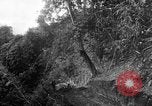 Image of Chinese engineers build Ledo road Burma, 1944, second 48 stock footage video 65675043289
