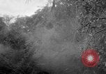 Image of Chinese engineers build Ledo road Burma, 1944, second 51 stock footage video 65675043289