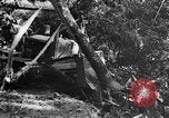 Image of Chinese engineers build Ledo road Burma, 1944, second 62 stock footage video 65675043289