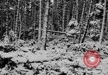 Image of Western Front snow scenes January 1945 in World War II Europe, 1945, second 9 stock footage video 65675043290