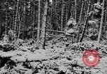 Image of Western Front snow scenes January 1945 in World War II Europe, 1945, second 10 stock footage video 65675043290