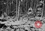 Image of Western Front snow scenes January 1945 in World War II Europe, 1945, second 12 stock footage video 65675043290