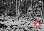 Image of Western Front snow scenes January 1945 in World War II Europe, 1945, second 13 stock footage video 65675043290