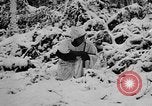 Image of Western Front snow scenes January 1945 in World War II Europe, 1945, second 14 stock footage video 65675043290