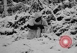 Image of Western Front snow scenes January 1945 in World War II Europe, 1945, second 15 stock footage video 65675043290