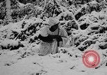 Image of Western Front snow scenes January 1945 in World War II Europe, 1945, second 16 stock footage video 65675043290