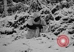 Image of Western Front snow scenes January 1945 in World War II Europe, 1945, second 17 stock footage video 65675043290
