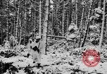 Image of Western Front snow scenes January 1945 in World War II Europe, 1945, second 18 stock footage video 65675043290