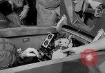 Image of Donald Campbell Australia, 1964, second 28 stock footage video 65675043299