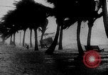 Immagine di Uragano Florida Keys United States USA, 1935, secondo 3 filmato di repertorio 65675043317