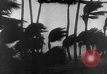 Immagine di Uragano Florida Keys United States USA, 1935, secondo 6 filmato di repertorio 65675043317