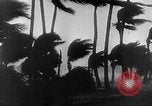 Immagine di Uragano Florida Keys United States USA, 1935, secondo 7 filmato di repertorio 65675043317