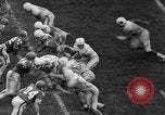 Immagine di 1967 Coppa senior del gioco del calcio Mobile Alabama USA, 1967, secondo 8 filmato di repertorio 65675043344