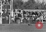 Standbild Rodeo anzeigen Ellensburg Washington USA, 1935, aus Sekunde 11 historischem Filmmaterial Videoclip 65675043350