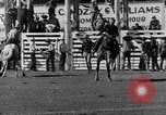 Standbild Rodeo anzeigen Ellensburg Washington USA, 1935, aus Sekunde 22 historischem Filmmaterial Videoclip 65675043350