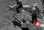 Standbild Rodeo anzeigen Ellensburg Washington USA, 1935, aus Sekunde 33 historischem Filmmaterial Videoclip 65675043350