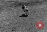 Standbild Rodeo anzeigen Ellensburg Washington USA, 1935, aus Sekunde 38 historischem Filmmaterial Videoclip 65675043350
