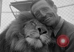 Image of Lion named King Tuffy Venice Beach Los Angeles California USA, 1935, second 16 stock footage video 65675043352
