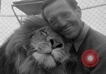 Image of Lion named King Tuffy Venice Beach Los Angeles California USA, 1935, second 17 stock footage video 65675043352