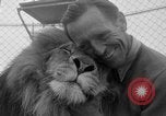 Image of Lion named King Tuffy Venice Beach Los Angeles California USA, 1935, second 18 stock footage video 65675043352
