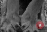 Image of Lion named King Tuffy Venice Beach Los Angeles California USA, 1935, second 44 stock footage video 65675043352