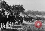 Image of German soldiers France, 1940, second 5 stock footage video 65675043353