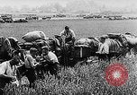 Image of German soldiers France, 1940, second 57 stock footage video 65675043353