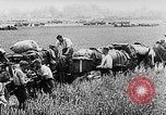Image of German soldiers France, 1940, second 58 stock footage video 65675043353