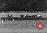 Standbild internationalen Pferderennen Laurel Maryland USA, 1958, aus Sekunde 26 historischem Filmmaterial Videoclip 65675043362