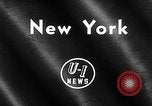 Image of Westminster Dog Show New York City USA, 1960, second 3 stock footage video 65675043366