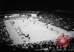 Image of Westminster Dog Show New York City USA, 1960, second 6 stock footage video 65675043366