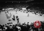Image of Westminster Dog Show New York City USA, 1960, second 11 stock footage video 65675043366