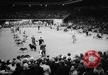 Image of Westminster Dog Show New York City USA, 1960, second 12 stock footage video 65675043366