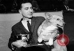 Image of Westminster Dog Show New York City USA, 1960, second 18 stock footage video 65675043366