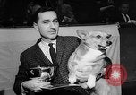 Image of Westminster Dog Show New York City USA, 1960, second 20 stock footage video 65675043366