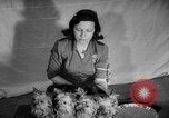 Image of Westminster Dog Show New York City USA, 1960, second 35 stock footage video 65675043366