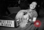 Image of Westminster Dog Show New York City USA, 1960, second 50 stock footage video 65675043366