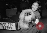 Image of Westminster Dog Show New York City USA, 1960, second 52 stock footage video 65675043366