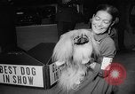 Image of Westminster Dog Show New York City USA, 1960, second 53 stock footage video 65675043366