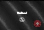 Image of Cattle released Holland Netherlands, 1959, second 1 stock footage video 65675043374