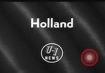 Image of Cattle released Holland Netherlands, 1959, second 3 stock footage video 65675043374