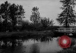 Image of Cattle released Holland Netherlands, 1959, second 4 stock footage video 65675043374
