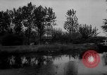 Image of Cattle released Holland Netherlands, 1959, second 5 stock footage video 65675043374