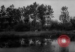 Image of Cattle released Holland Netherlands, 1959, second 6 stock footage video 65675043374