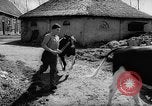Image of Cattle released Holland Netherlands, 1959, second 8 stock footage video 65675043374